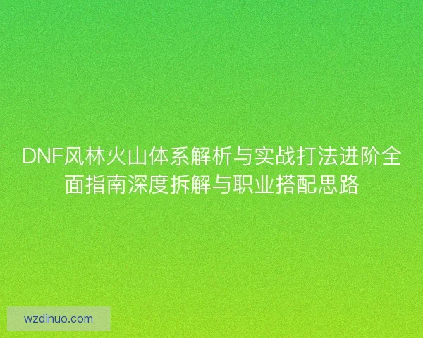 DNF风林火山体系解析与实战打法进阶全面指南深度拆解与职业搭配思路