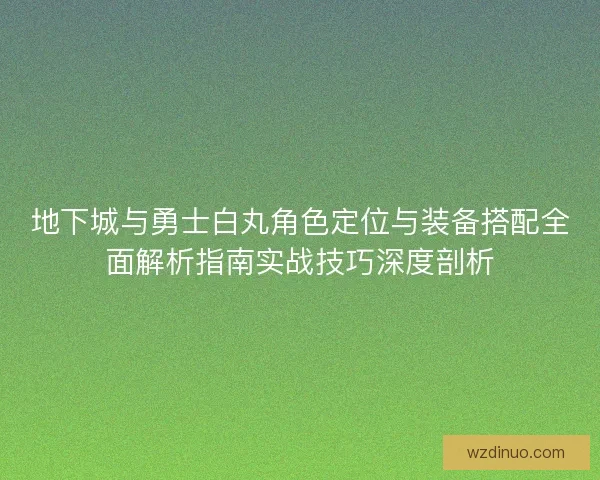 地下城与勇士白丸角色定位与装备搭配全面解析指南实战技巧深度剖析 地下城与勇士白丸角色定位与装备搭配全面解析指南实战技巧深度剖析
