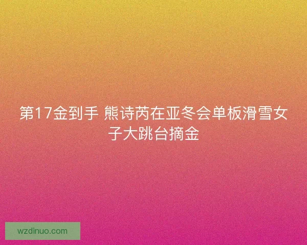 第17金到手 熊诗芮在亚冬会单板滑雪女子大跳台摘金