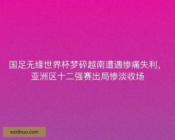 国足无缘世界杯梦碎越南遭遇惨痛失利，亚洲区十二强赛出局惨淡收场