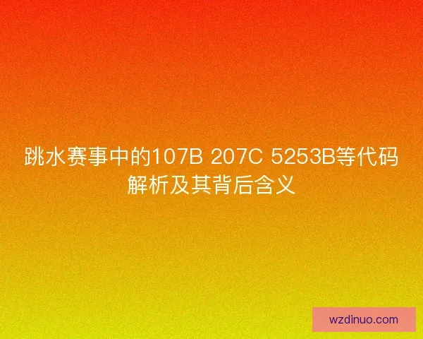 跳水赛事中的107B 207C 5253B等代码解析及其背后含义