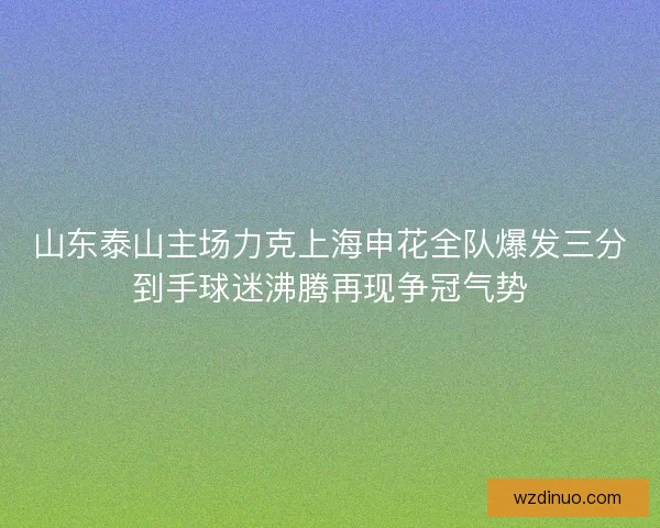 山东泰山主场力克上海申花全队爆发三分到手球迷沸腾再现争冠气势