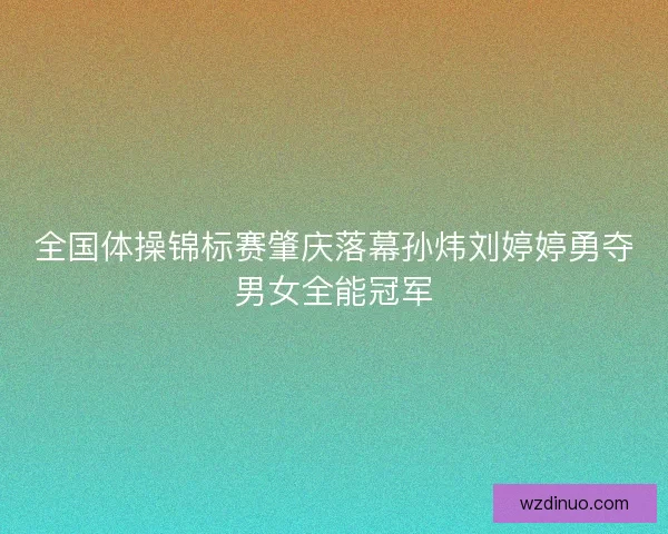 全国体操锦标赛肇庆落幕孙炜刘婷婷勇夺男女全能冠军